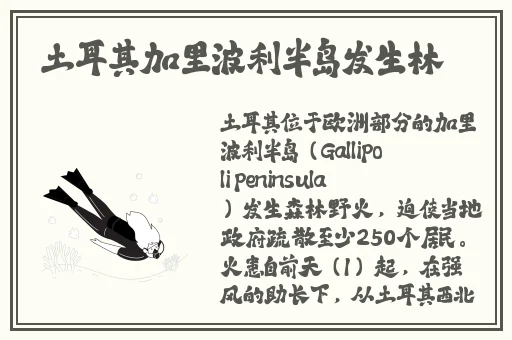 菊内留香TXL段小庄